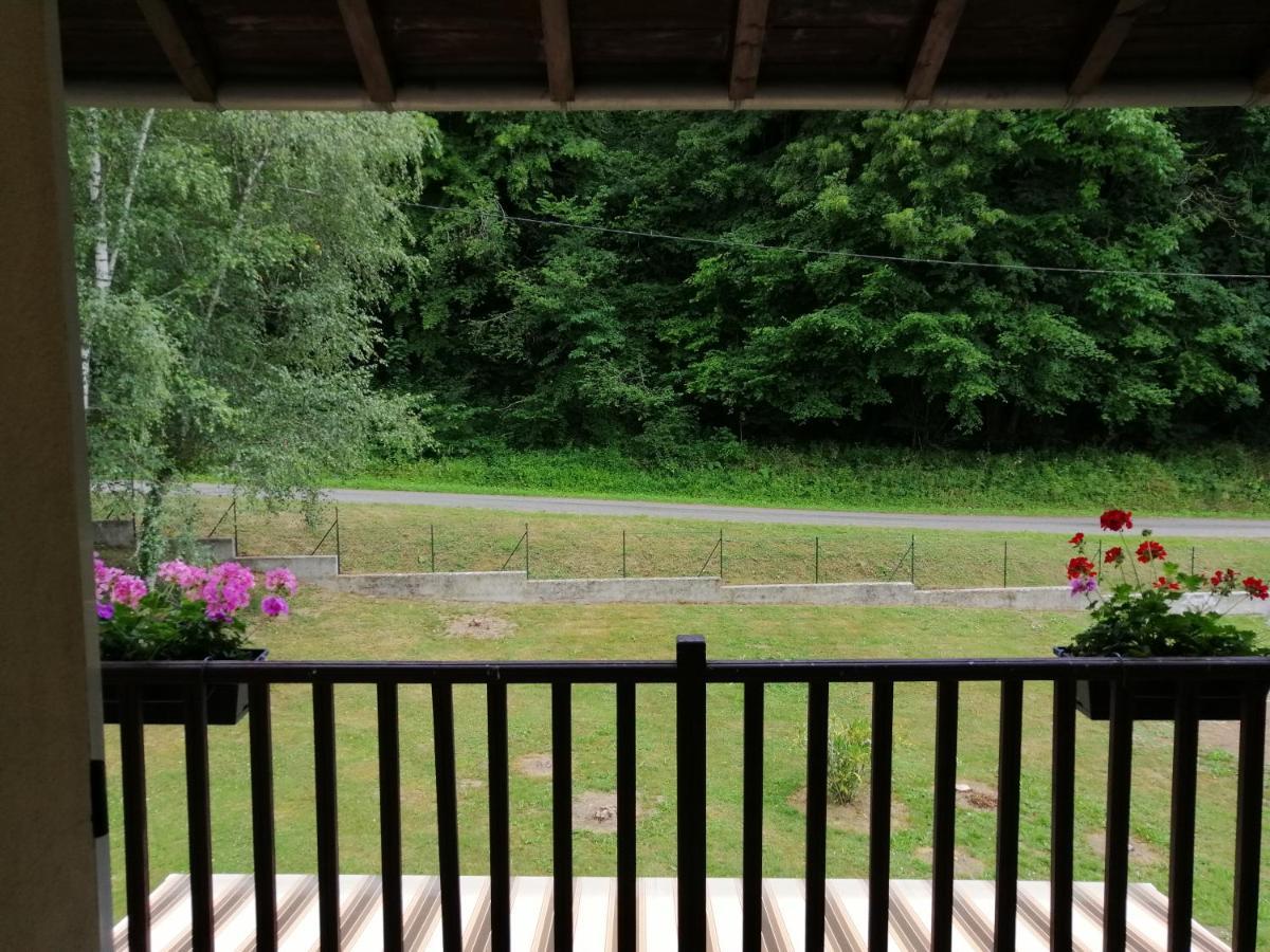 A LA JOIE DE VIVRE Chez l'habitant Banat Extérieur photo
